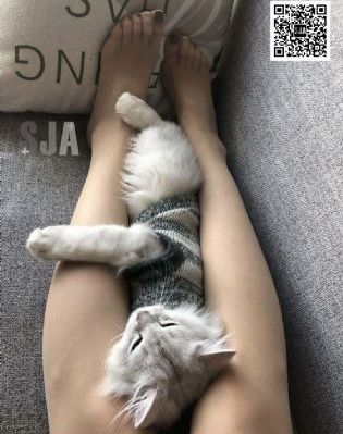 深夜爽爽福利gif在线观看_高清最新电影在线观看